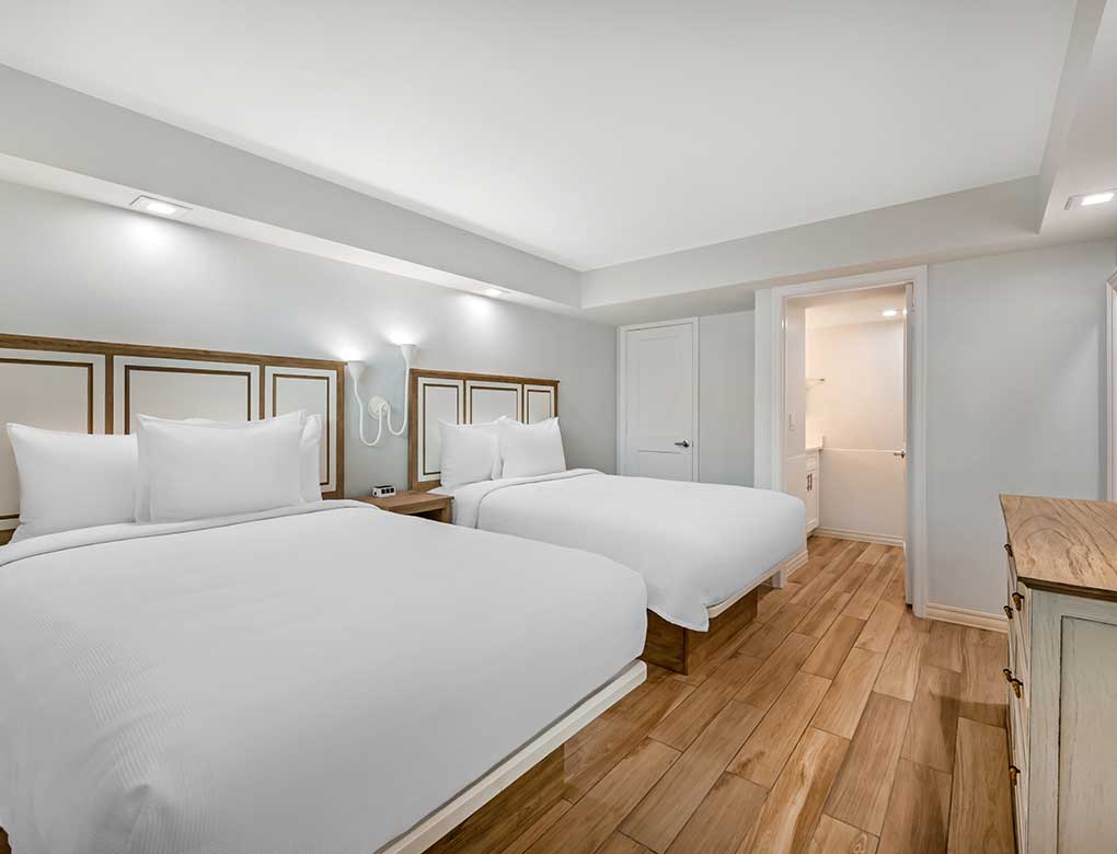 Ground Floor | Suite-2 Double Beds